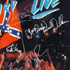 RARE-T Lynyrd Skynyrd - Southern By The Grace Of God Platinum LP Limited Signature Edition Studio Licensed Custom Frame Limited Edition Frames