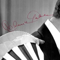 RARE-T Gone With The Wind Photo Limited Signature Edition Studio Licensed Custom Frame 11 RARE-T Gone With The Wind Photo Limited Signature Edition Studio Licensed Custom Frame