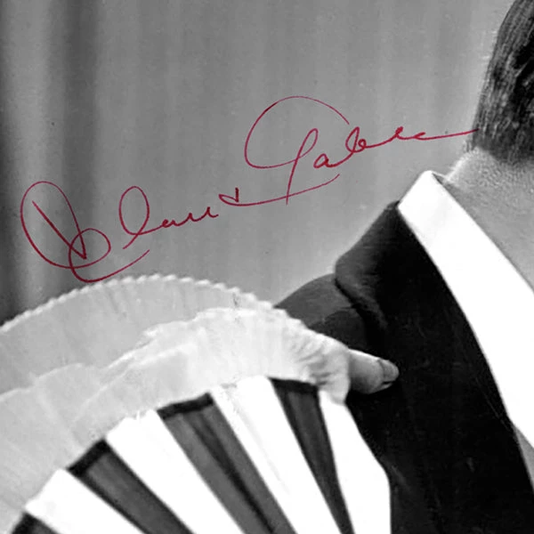 RARE-T Gone With The Wind Photo Limited Signature Edition Studio Licensed Custom Frame 4 RARE-T Gone With The Wind Photo Limited Signature Edition Studio Licensed Custom Frame