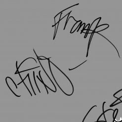 RARE-T Deftones White Pony LP Cover Limited Signature Edition Studio Licensed Custom Frame Limited Edition Frames