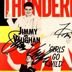 Rare-T Limited Edition Frames Fabulous Thunderbirds - Girls Go Wild Platinum LP Limited Signature Edition Studio Licensed Custom Frame
