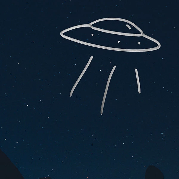 RARE-T Phoebe Bridgers - Punisher Platinum LP Limited Signature Edition Studio Licensed Custom Frame Limited Edition Frames 4 RARE-T Phoebe Bridgers - Punisher Platinum LP Limited Signature Edition Studio Licensed Custom Frame Limited Edition Frames