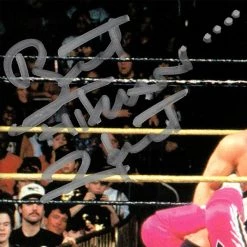RARE-T NEW WWE - Bret Hart & Owen Hart Photo Limited Signature Edition Studio Licensed Custom Frame