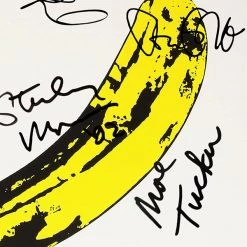 RARE-T The Velvet Underground & Nico - The Velvet Underground & Nico Gold LP Limited Signature Edition Studio Licensed Custom Frame