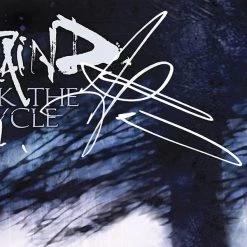 RARE-T Limited Edition Frames Staind Break The Cycle Gold LP Limited Signature Edition Studio Licensed Custom Frame