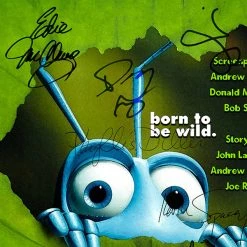RARE-T Bug's Life Transcript Limited Signature Edition Studio Licensed Custom Frame