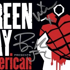 RARE-T Limited Edition Frames Green Day American Idiot Gold LP Limited Signature Edition Studio Licensed Custom Frame