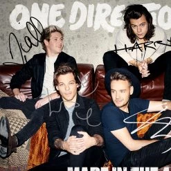 RARE-T Limited Edition Frames One Direction Made In The A.M. Platinum LP Limited Signature Edition Studio Licensed Custom Frame