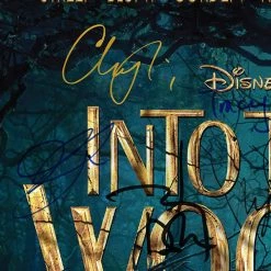 RARE-T Into The Woods - Original Motion Picture Soundtrack Platinum LP Limited Signature Edition Studio Licensed Custom Frame