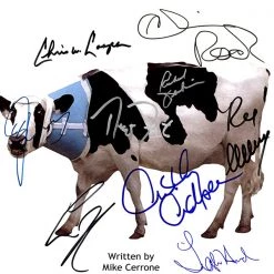 RARE-T Me, Myself & Irene Transcript Limited Signature Edition Studio Licensed Custom Frame Limited Edition Frames