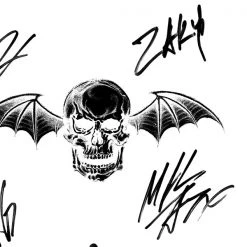 RARE-T Limited Edition Frames Avenged Sevenfold - Self Titled Gold LP Limited Signature Edition Studio Licensed Custom Frame