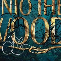 RARE-T Limited Edition Frames Into The Woods - Original Motion Picture Soundtrack Gold LP Limited Signature Edition Studio Licensed Custom Frame