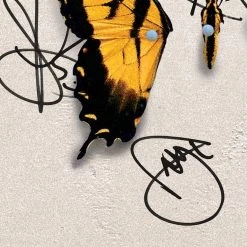 RARE-T Paramore Brand New Eyes Platinum LP Limited Signature Edition Studio Licensed Custom Frame 13 RARE-T Paramore Brand New Eyes Platinum LP Limited Signature Edition Studio Licensed Custom Frame