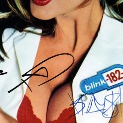 RARE-T Blink-182 Enema Of The State Gold LP Limited Signature Edition Studio Licensed Custom Frame