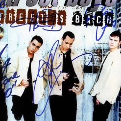 RARE-T Backstreet Boys - Backstreet Back Gold LP Limited Signature Edition Studio Licensed Custom Frame Limited Edition Frames 14 RARE-T Backstreet Boys - Backstreet Back Gold LP Limited Signature Edition Studio Licensed Custom Frame Limited Edition Frames