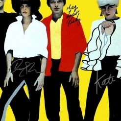 RARE-T The B-52's Platinum LP Limited Signature Edition Studio Licensed Custom Frame Limited Edition Frames