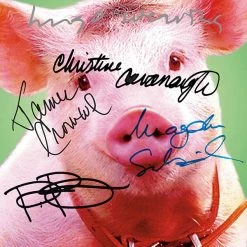 RARE-T Babe Transcript Limited Signature Edition Studio Licensed Custom Frame Limited Edition Frames