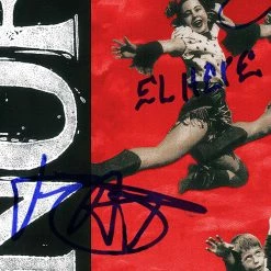 RARE-T NOFX - Punk In Drublic Platinum LP Limited Signature Edition Studio Licensed Custom Frame