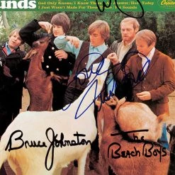 RARE-T The Beach Boys Pet Sounds Platinum LP Limited Signature Edition Studio Licensed Custom Frame Limited Edition Frames