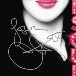 RARE-T Burlesque - Original Motion Picture Soundtrack Platinum LP Limited Signature Edition Studio Licensed Custom Frame 14 RARE-T Burlesque - Original Motion Picture Soundtrack Platinum LP Limited Signature Edition Studio Licensed Custom Frame