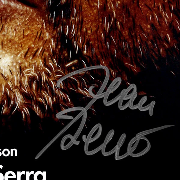 RARE-T Limited Edition Frames Leon: The Professional - Original Motion Picture Soundtrack Gold LP Limited Signature Edition Studio Licensed Custom Frame 6 RARE-T Limited Edition Frames Leon: The Professional - Original Motion Picture Soundtrack Gold LP Limited Signature Edition Studio Licensed Custom Frame