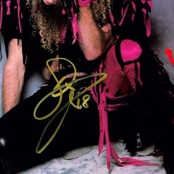 RARE-T Twisted Sister - Stay Hungry LP Cover Limited Signature Edition Studio Licensed Custom Frame Limited Edition Frames