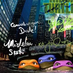 RARE-T NEW Teenage Mutant Ninja Turtles - Music From The Film Gold LP Limited Signature Edition Studio Licensed Custom Frame