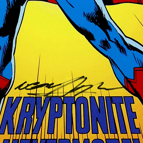 RARE-T Limited Edition Frames Superman Kryptonite Art Print Limited Signature Edition Studio Licensed Custom Frame 3 RARE-T Limited Edition Frames Superman Kryptonite Art Print Limited Signature Edition Studio Licensed Custom Frame