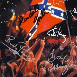 RARE-T Lynyrd Skynyrd - Southern By The Grace Of God Gold LP Limited Signature Edition Studio Licensed Custom Frame Limited Edition Frames