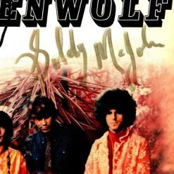 RARE-T Limited Edition Frames Steppenwolf - Self-Titled Platinum LP Limited Signature Edition Studio Licensed Custom Frame