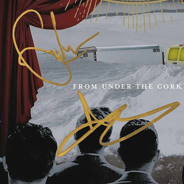 RARE-T Fall Out Boy From Under The Cork Tree LP Cover Limited Signature Edition Studio Licensed Custom Frame Limited Edition Frames 3 RARE-T Fall Out Boy From Under The Cork Tree LP Cover Limited Signature Edition Studio Licensed Custom Frame Limited Edition Frames