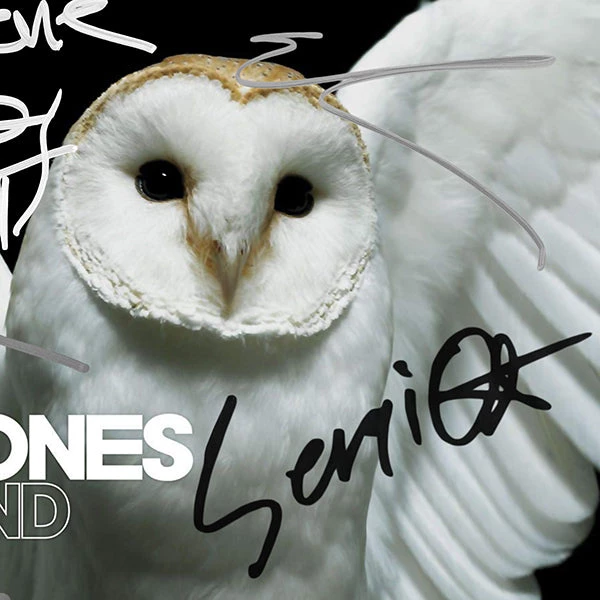 RARE-T Limited Edition Frames Deftones - Diamond Eyes Gold LP Limited Signature Edition Studio Licensed Custom Frame 5 RARE-T Limited Edition Frames Deftones - Diamond Eyes Gold LP Limited Signature Edition Studio Licensed Custom Frame