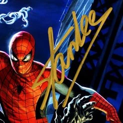 Rare-T Spider-Man Vs Venom Mask Prop Limited Signature Edition Custom Frame