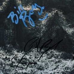 RARE-T R.E.M. - Murmur Platinum LP Limited Signature Edition Studio Licensed Custom Frame