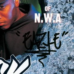 RARE-T Limited Edition Frames MC Ren - Kizz My Black Azz Platinum LP Limited Signature Edition Studio Licensed Custom Frame