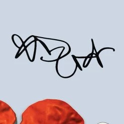 RARE-T Limited Edition Frames Kanye West - 808s & Heartbreak LP Cover Limited Signature Edition Studio Licensed Custom Frame