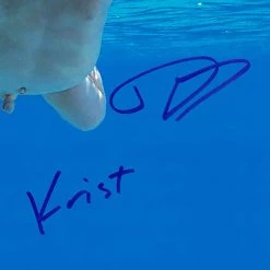 RARE-T Limited Edition Frames Nirvana Nevermind Platinum LP Limited Signature Edition Studio Licensed Custom Frame 13 RARE-T Limited Edition Frames Nirvana Nevermind Platinum LP Limited Signature Edition Studio Licensed Custom Frame