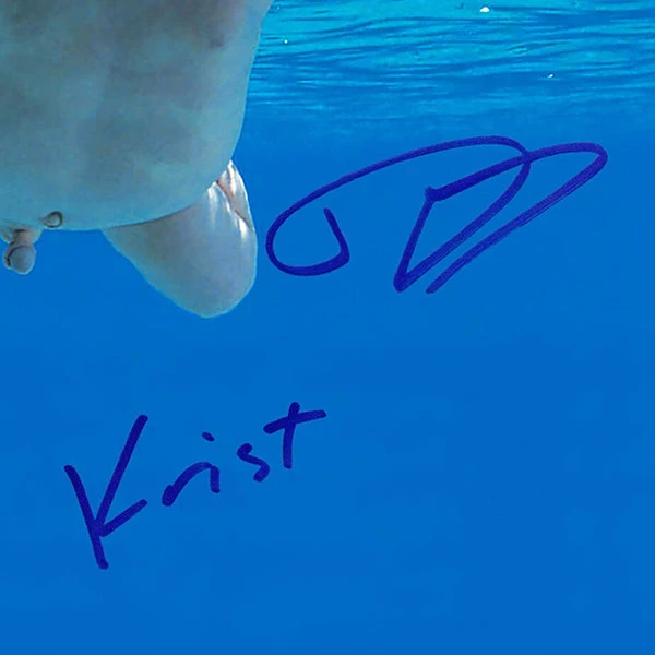 RARE-T Limited Edition Frames Nirvana Nevermind Platinum LP Limited Signature Edition Studio Licensed Custom Frame 3 RARE-T Limited Edition Frames Nirvana Nevermind Platinum LP Limited Signature Edition Studio Licensed Custom Frame