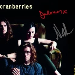 RARE-T The Cranberries - Everybody Else Is Doing It, So Why Can't We? Platinum LP Limited Signature Edition Studio Licensed Custom Frame