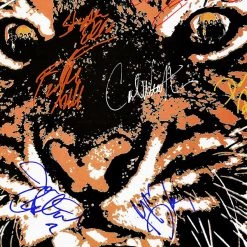 RARE-T Survivors - The Eye Of The Tiger Platinum LP Limited Signature Edition Studio Licensed Custom Frame Limited Edition Frames