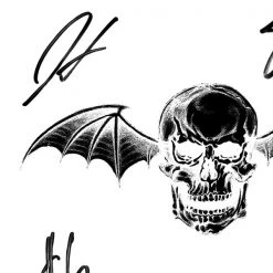 RARE-T Avenged Sevenfold - Self Titled LP Cover Limited Signature Edition Studio Licensed Custom Frame