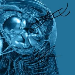 RARE-T Prometheus Script Limited Signature Edition Studio Licensed Custom Frame