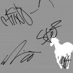 RARE-T Limited Edition Frames Deftones White Pony Gold LP Limited Signature Edition Studio Licensed Custom Frame