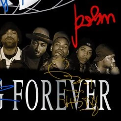 G.R.O. Limited Edition Frames Wu-Tang Clan - Wu-Tang Forever Gold LP Limited Signature Edition Studio Licensed Custom Frame