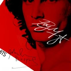 RARE-T Limited Edition Frames The Doors Greatest Hits Gold LP Limited Signature Edition Studio Licensed Custom Frame