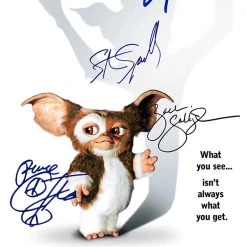 RARE-T Gremlins Photo & VHS Limited Signature Edition Studio Licensed Custom Frame