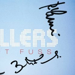 RARE-T The Killers - Hot Fuss Platinum LP Limited Signature Edition Studio Licensed Custom Frame