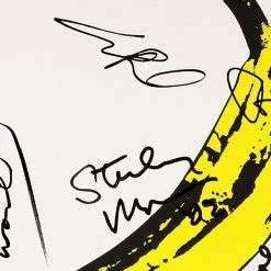 RARE-T The Velvet Underground & Nico - The Velvet Underground & Nico Gold LP Limited Signature Edition Studio Licensed Custom Frame