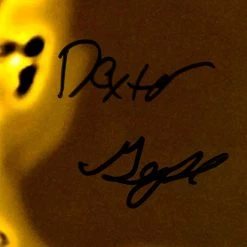 RARE-T Offspring Smash Platinum LP Limited Signature Edition Studio Licensed Custom Frame