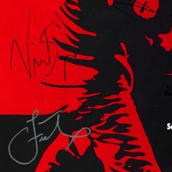 RARE-T Rumble Fish Transcript Limited Signature Edition Studio Licensed Custom Frame